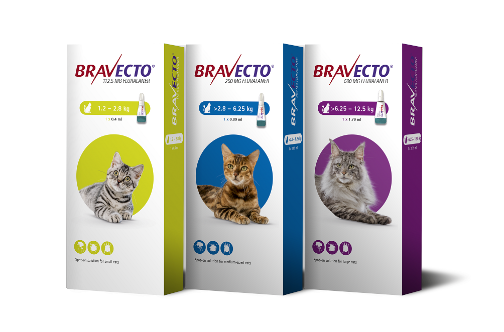 Bravecto Cat Plus Spot-On solution 6.25-12.5kg (L)  暫時沒有現貨,只供預訂}