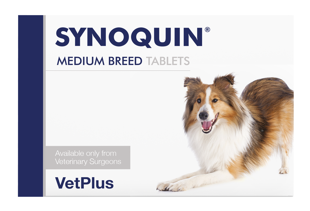VETPLUS Synoquin EFA 犬用關節補充丸 (中型犬 10-25公斤) (膠囊裝, 90粒) 暫時沒有現貨,只供預訂}