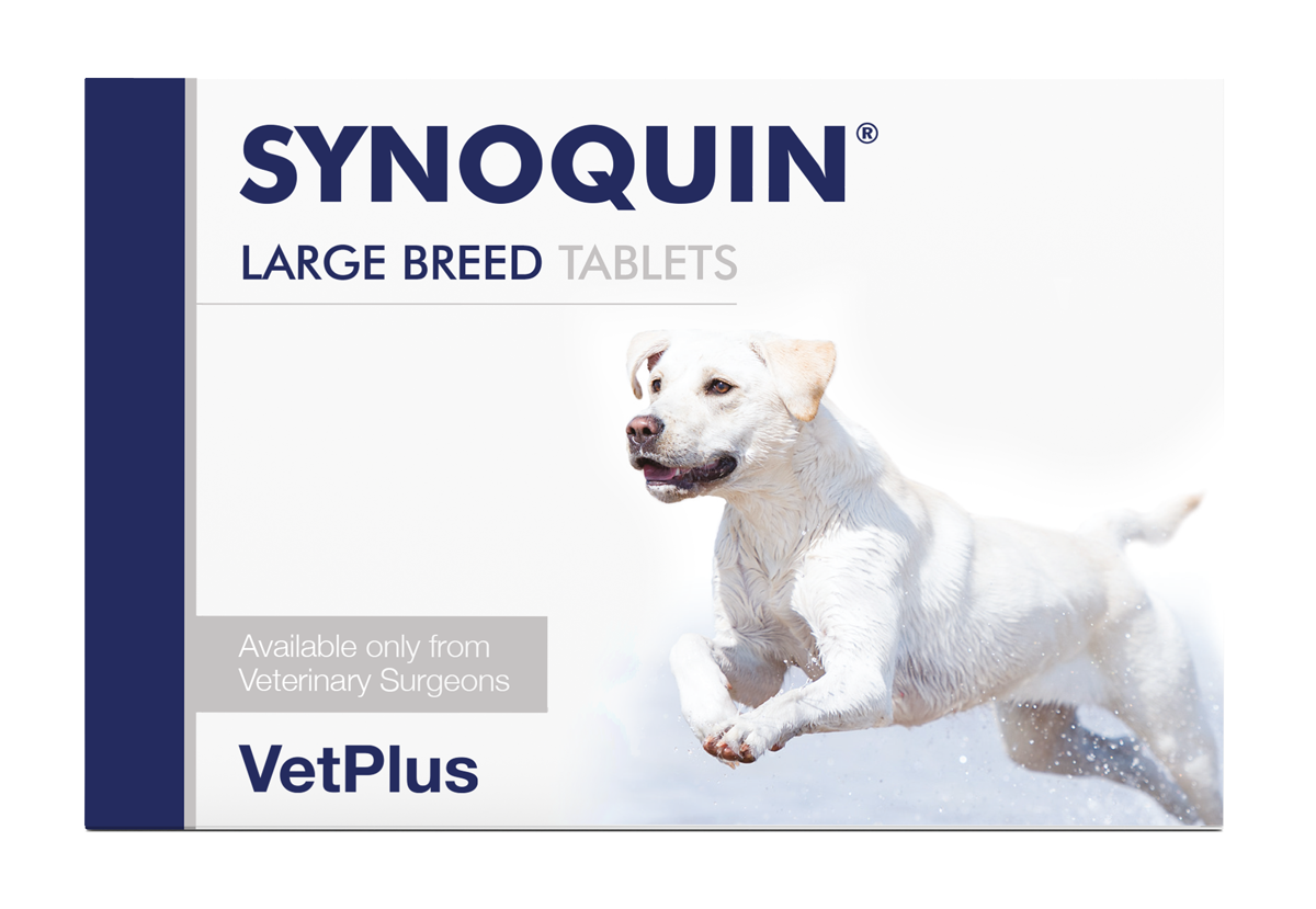 VETPLUS Synoquin EFA 犬用關節補充丸 (大型犬 >25公斤) (膠囊裝, 90粒)  暫時沒有現貨,只供預訂}