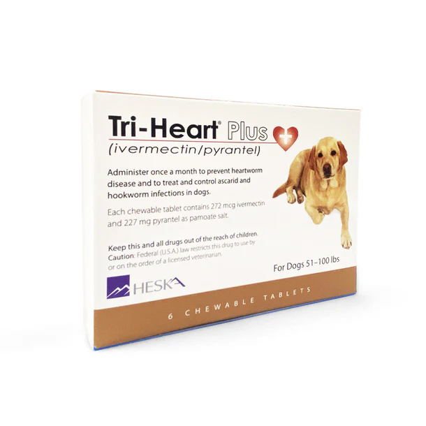 Tri-Heart Plus 心絲蟲藥 大型犬(51-100磅)(啡) 暫時沒有現貨,只供預訂}