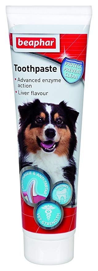 Beaphar toothpaste or tooth gel  牙膏 (貓/狗) 100g