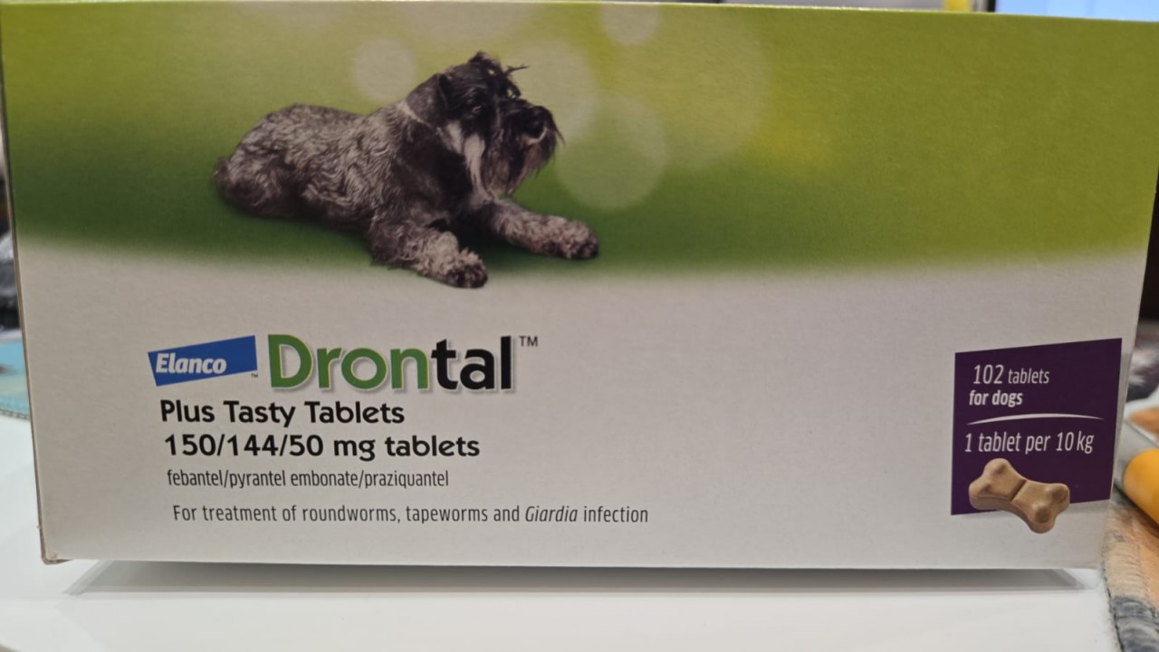 Drontal Dog 杜蟲藥 (小) (狗) (一粒/每10公斤體重一粒) 暫時沒有現貨,只供預訂}